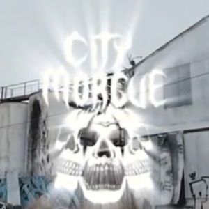 Meet your Posher, Tyson